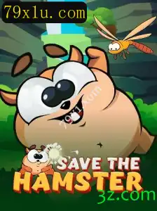 Explorando SavetheHamster: O Jogo Que Conquistou Gamers em 2023